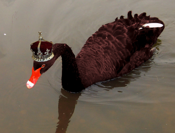 Красный лебедь
