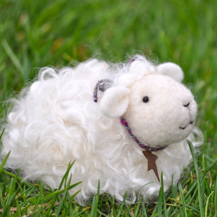 Валлийские черноносые овцы