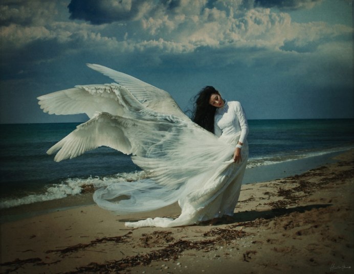 Птица с расправленными крыльями