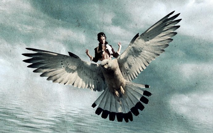 Ворон пикирует