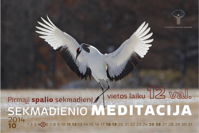 Ворона с расправленными крыльями