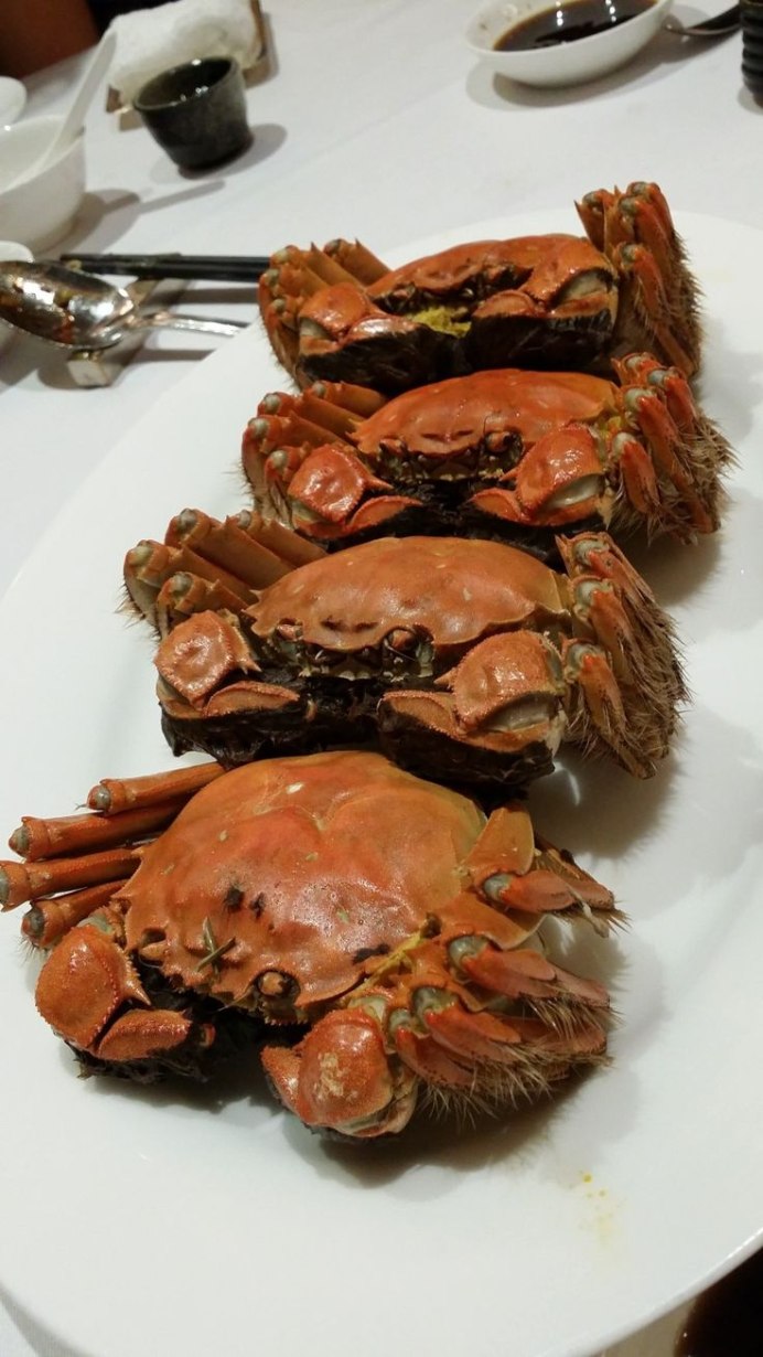 Краб песчаный плавунец черного моря