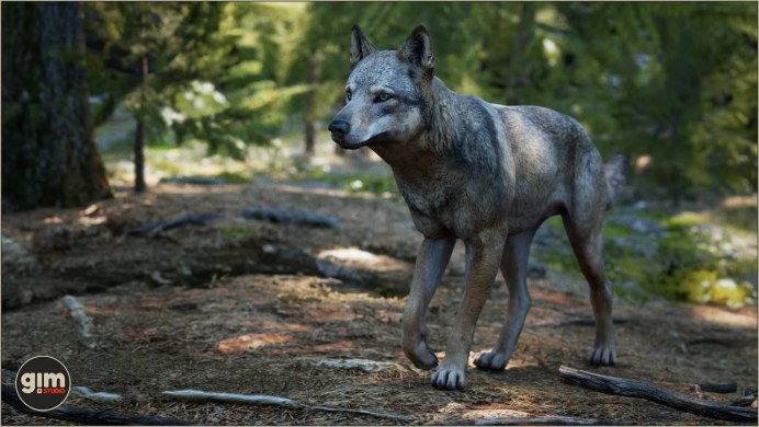 Открытка Farbfoto Wolf Leipzig