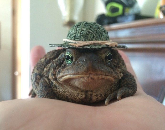 Пепе Ведьмак