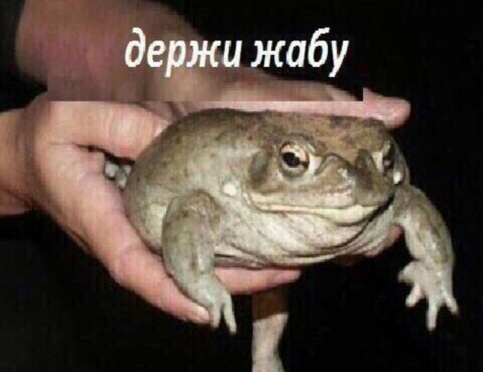 Старый Пепе