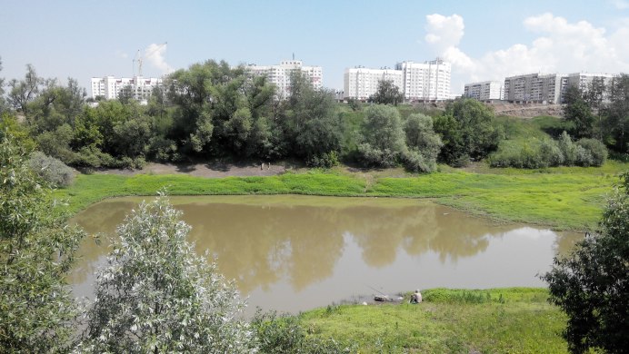 Белоплечий Орлан Камчатка