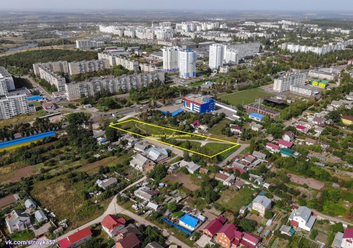 Орлы из Северной Америки