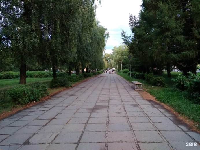 Орёл-карлик Hieraaetus pennatus