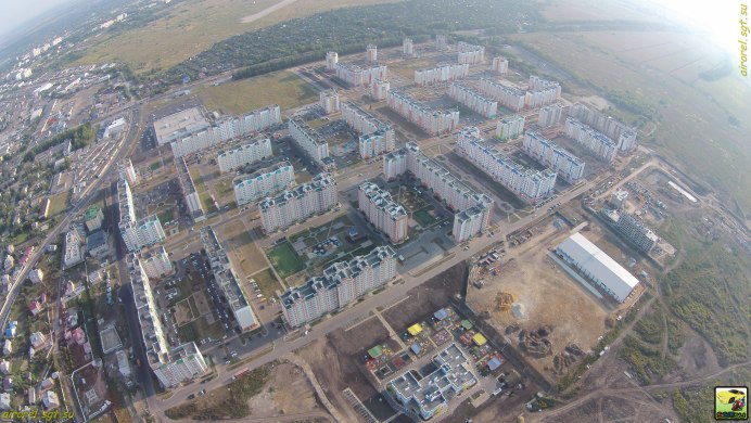 Орел в небе