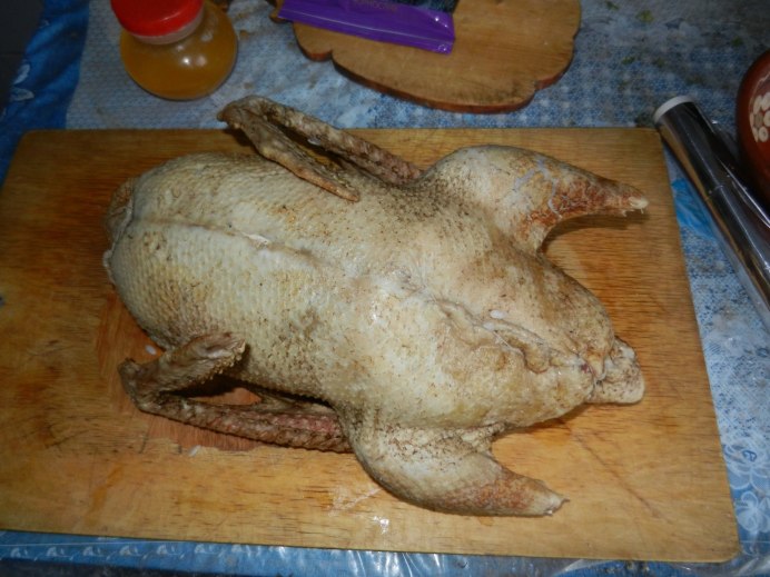 Ноги гуся