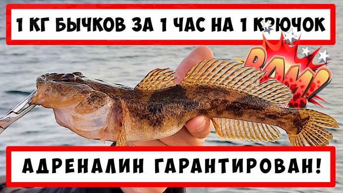 Ротан подкаменщик