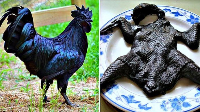 Чёрная китайская курица Ухейилюй