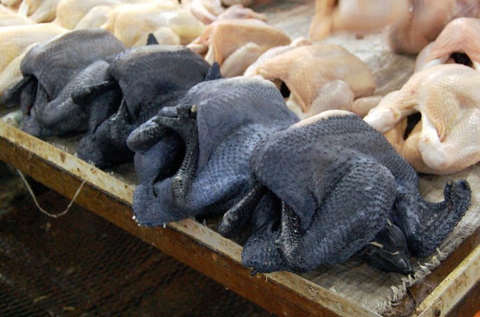 Китайские чёрные куры Ухейилюй