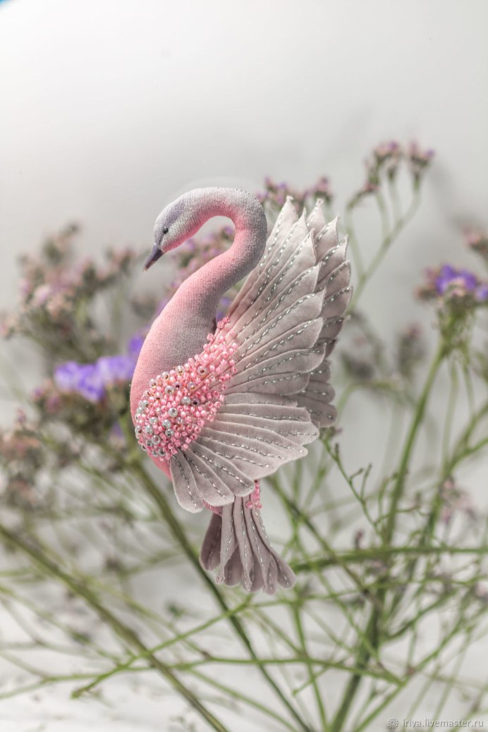 Черный лебедь среди белых