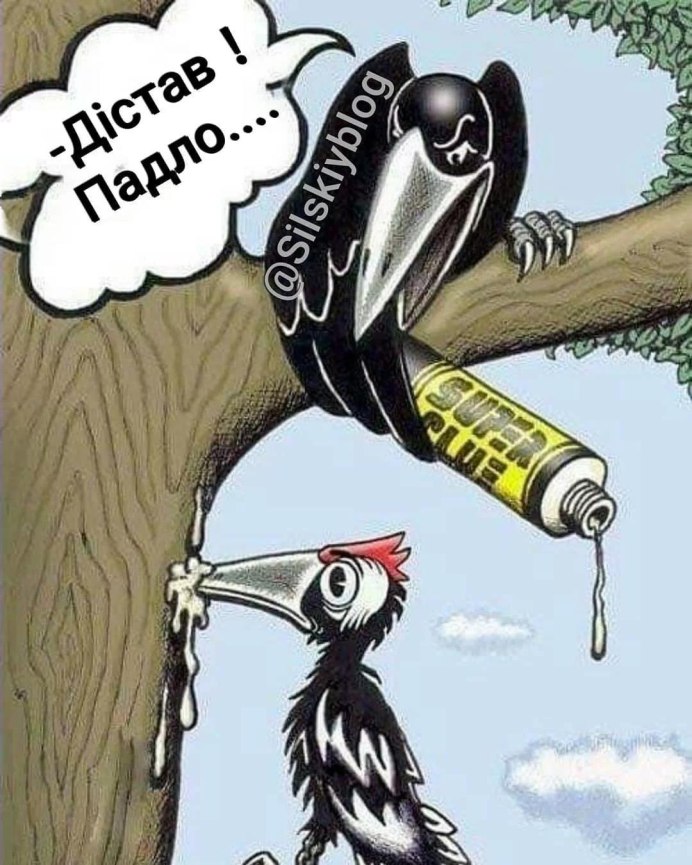 Дятел демотиватор