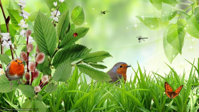 Птицы в лесу