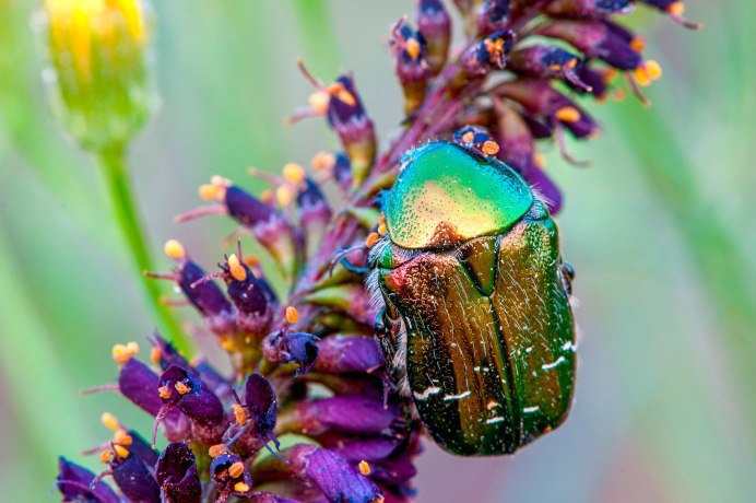 Детали механических часов