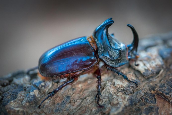 Красивые старинные часы