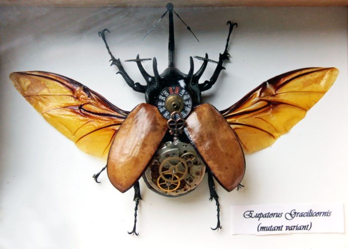 Искусство из насекомых