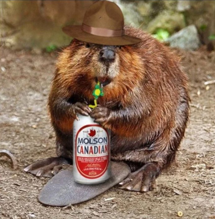 Бобер мультяшный