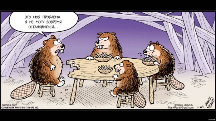 Картина бобры