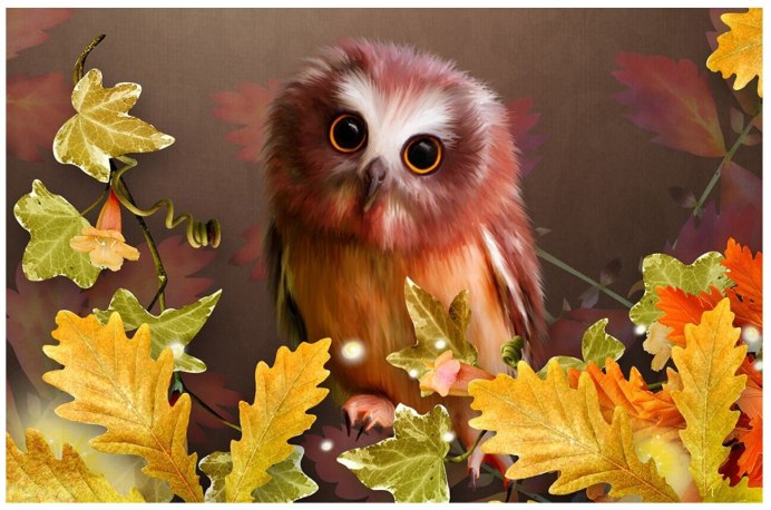 Сова на дереве