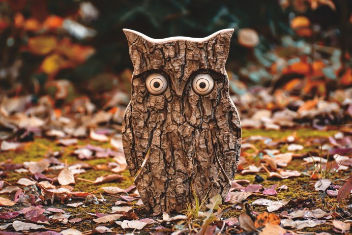Сова из коры