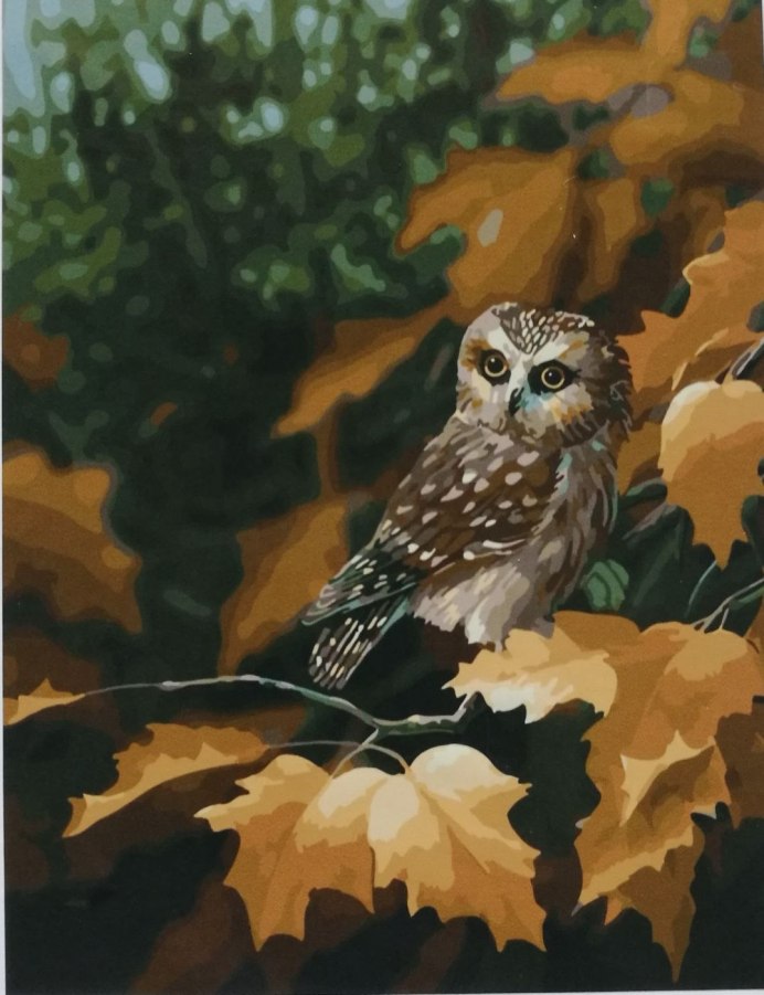 Джексон Брэдли (Bradley Jackson) картины