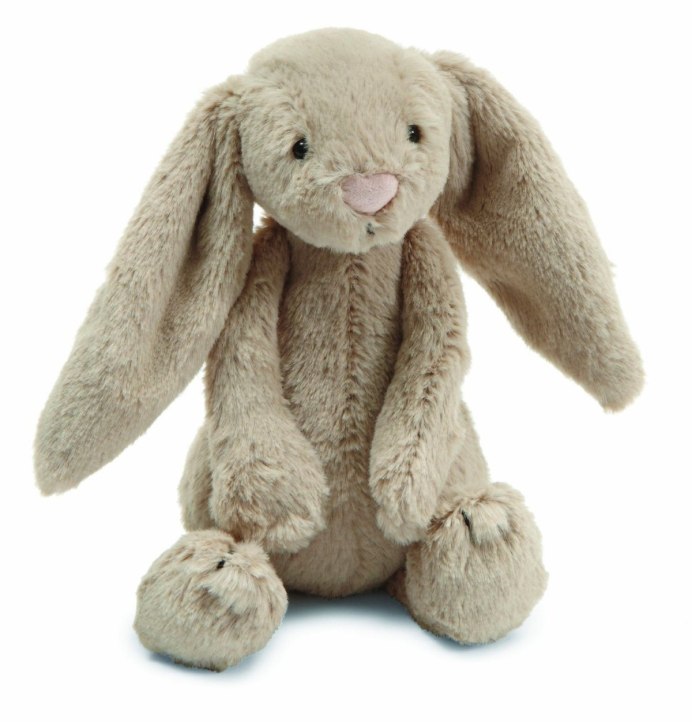 Lepus alleni