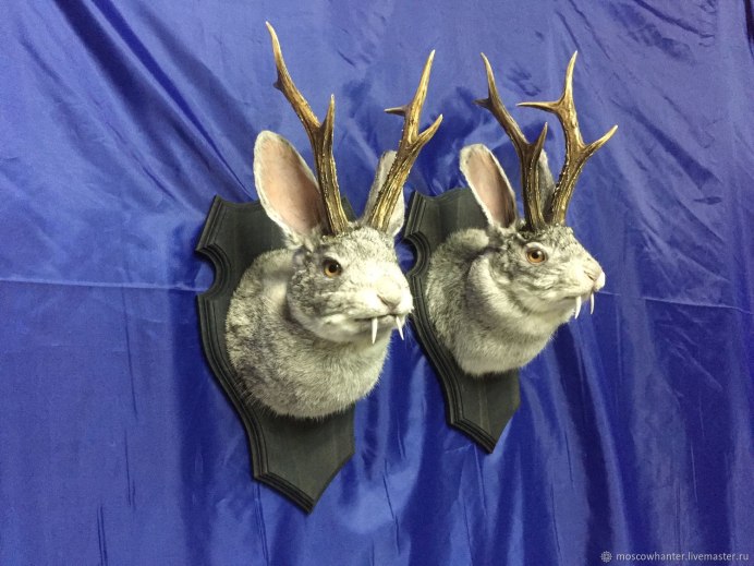 Jackalope чучело