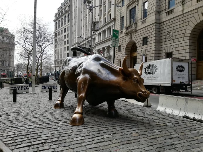 Мускусная утка коричневая