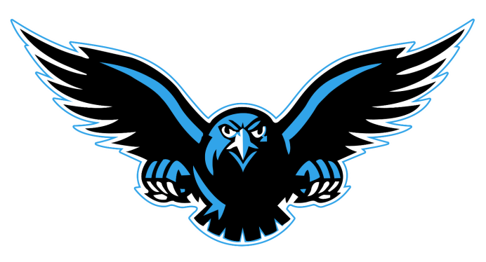 Синий ястреб