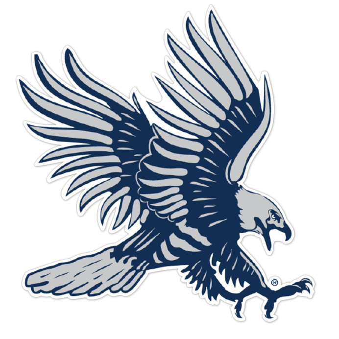 Сапсан птица