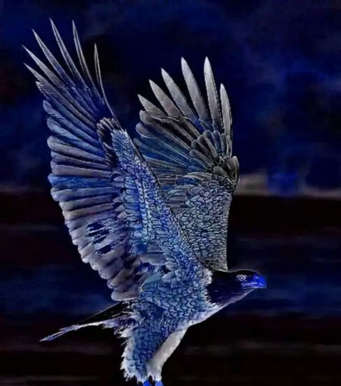 Голубой ястреб