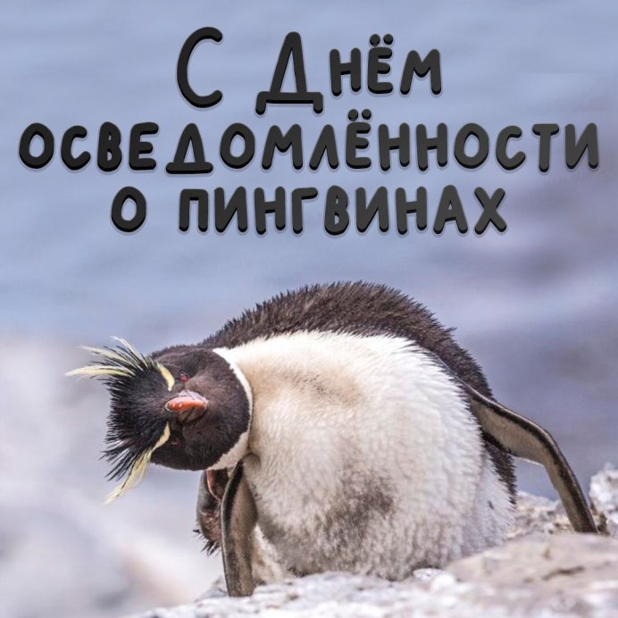 Недовольный Пингвин