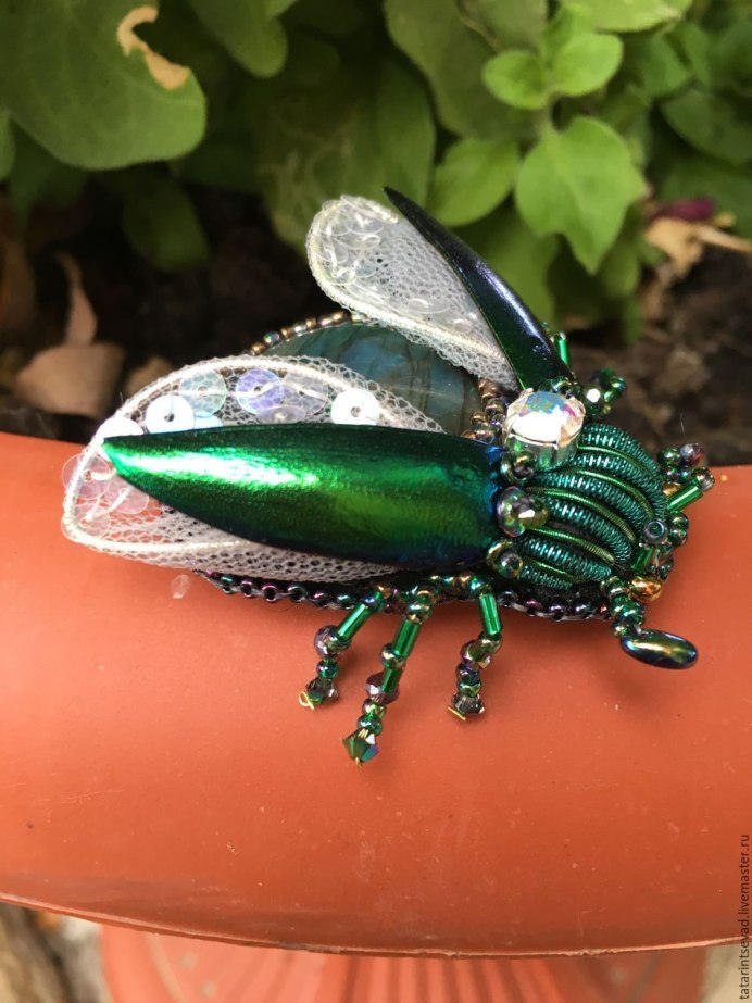 Навозник весенний (Trypocopris vernalis)