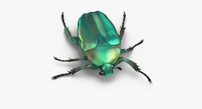 Жук навозник