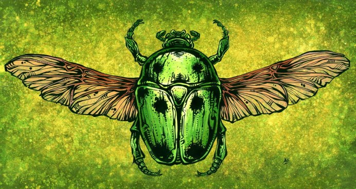 Жук скарабей