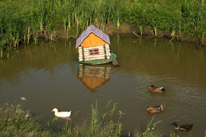 Парк с утками