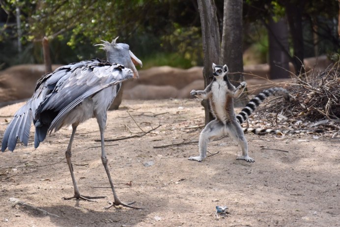 Китоглав смешное фото