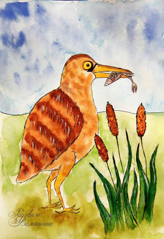 Удод в Калмыкии