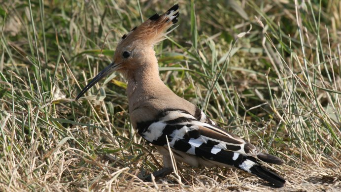 Екатерина Удод
