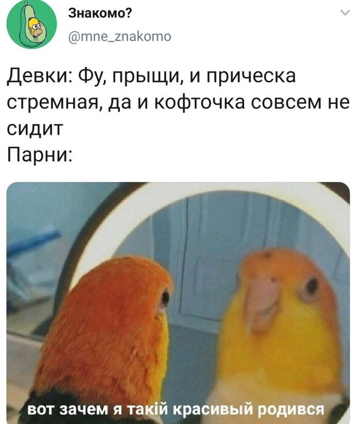 Попугайчик и зеркало