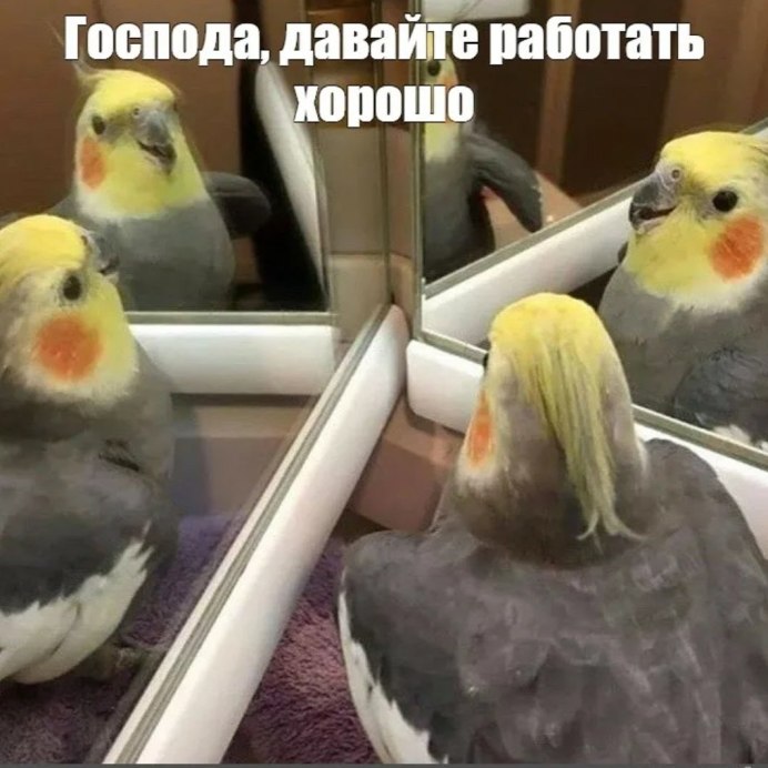 Говорящий волнистый попугай
