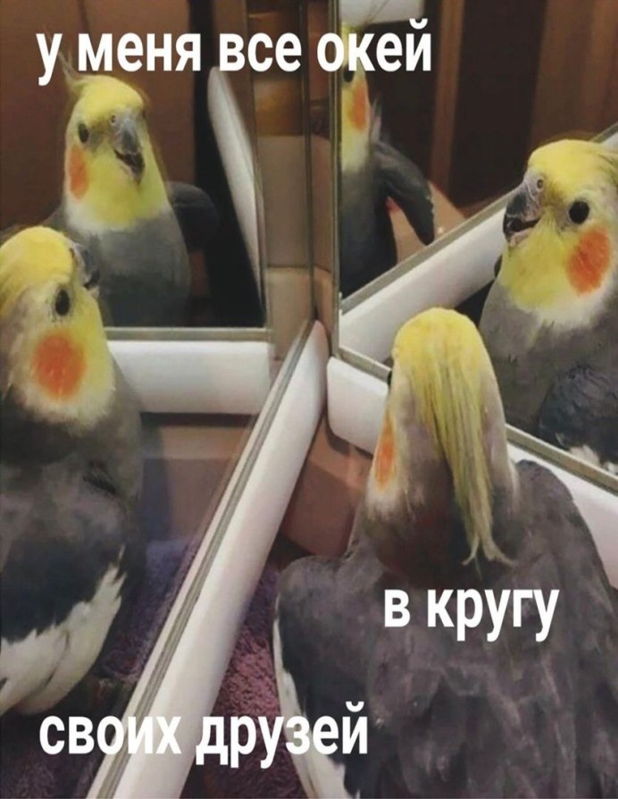 У меня всё окей