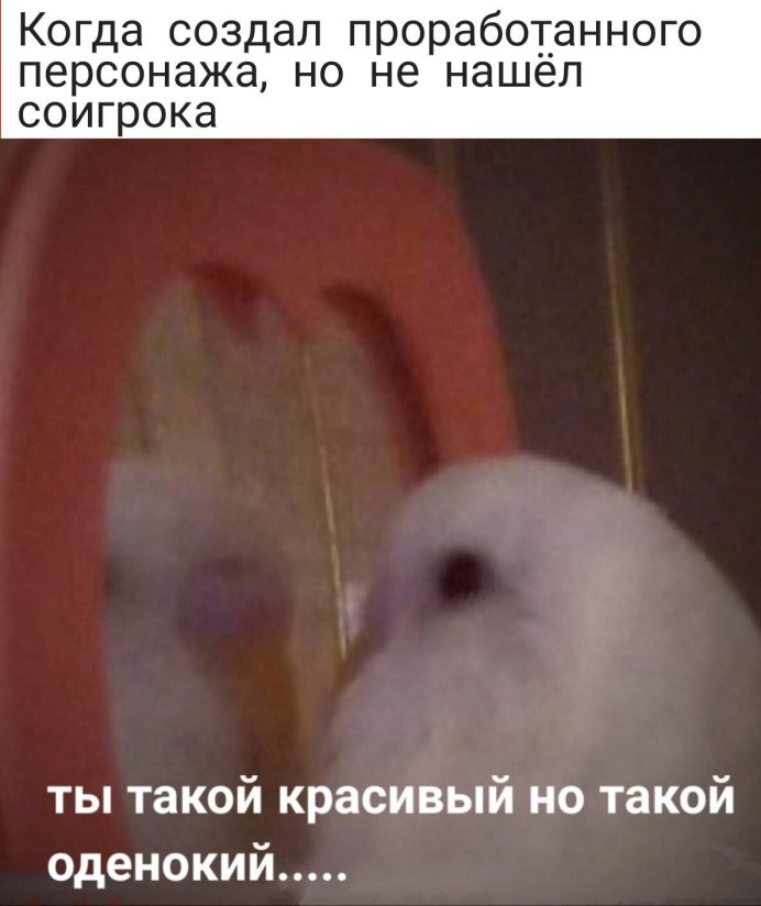 Мемы с попугаем в зеркале