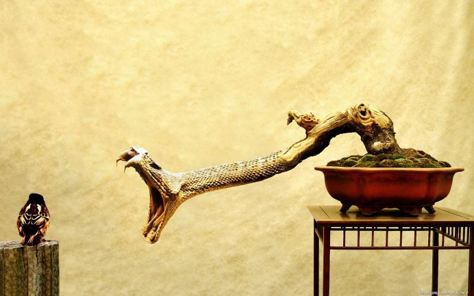 Из коры сделать орла