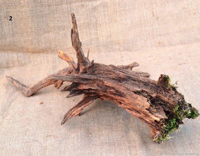 Скульптура Дрифтвуд