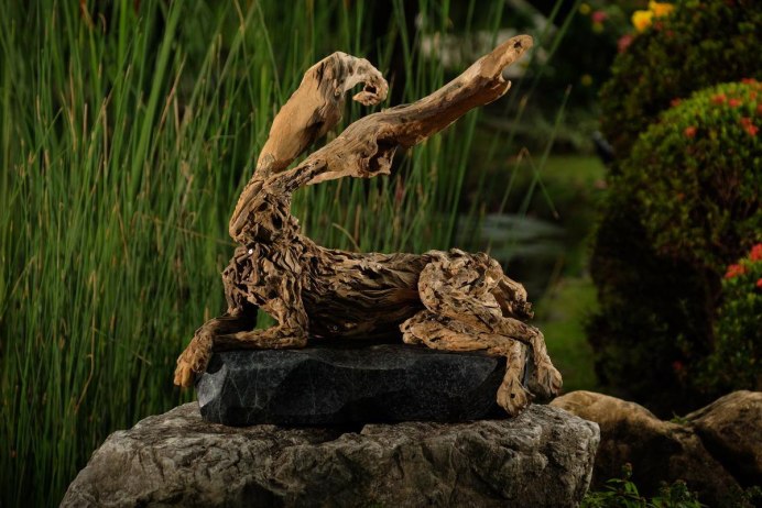 Дерево коряга