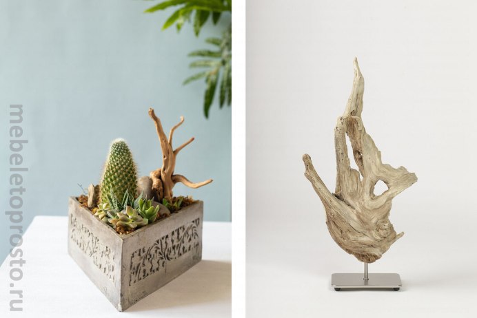 Коряги в интерьере у водоема